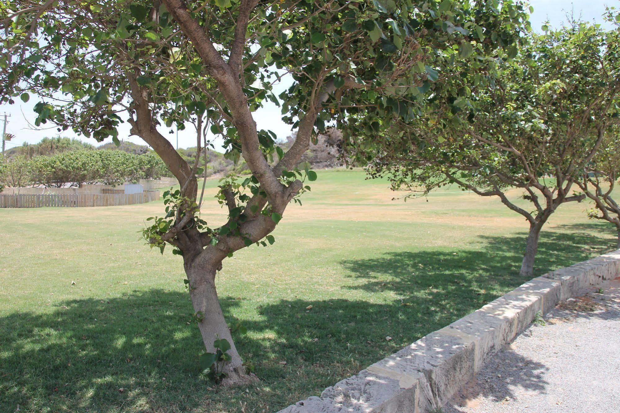 Seaspray Beach Holiday Park Dongara Kültér fotó
